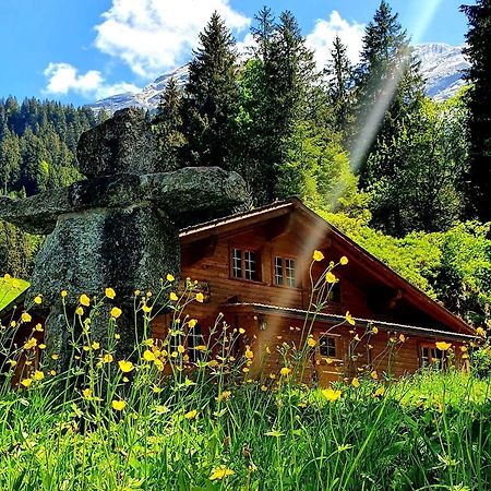 Alpenlodge Willigen ภายนอก รูปภาพ