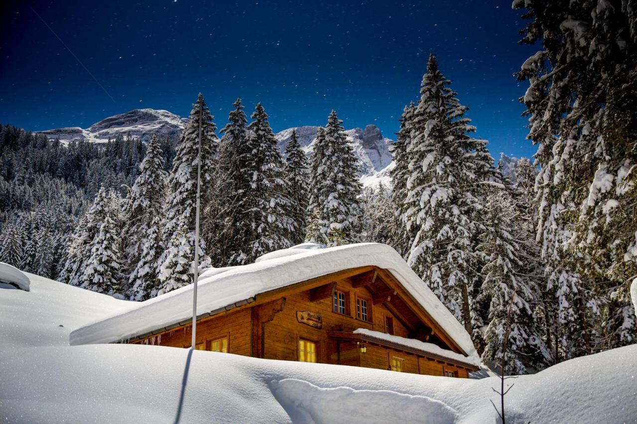 Alpenlodge Willigen ภายนอก รูปภาพ