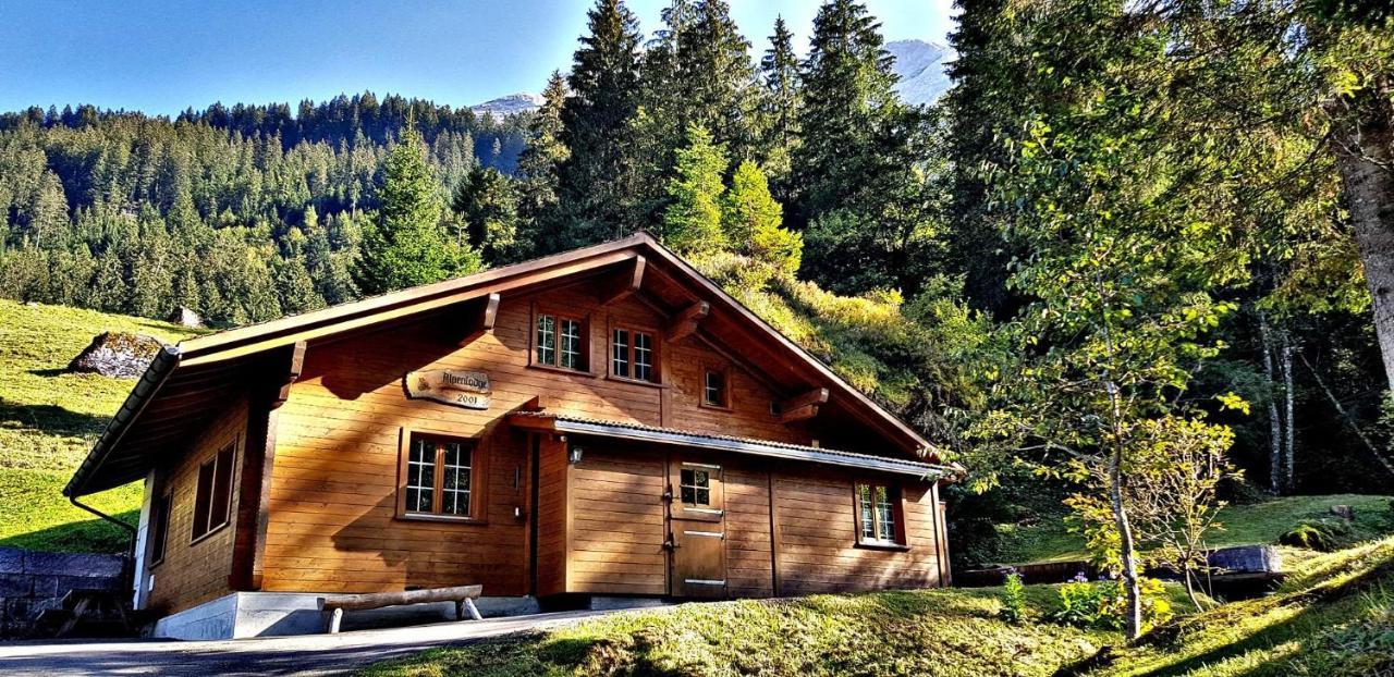 Alpenlodge Willigen ภายนอก รูปภาพ