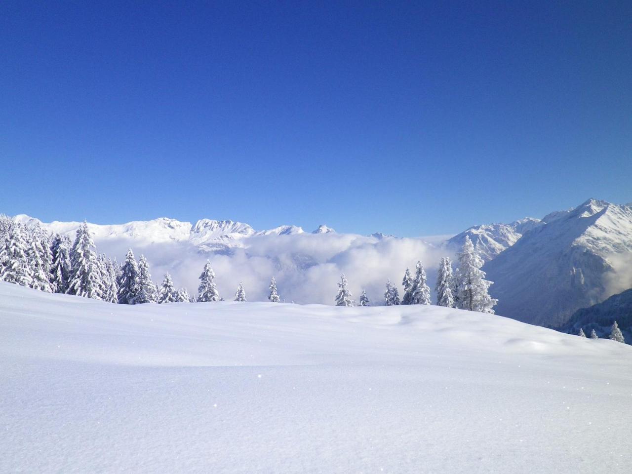 Alpenlodge Willigen ภายนอก รูปภาพ