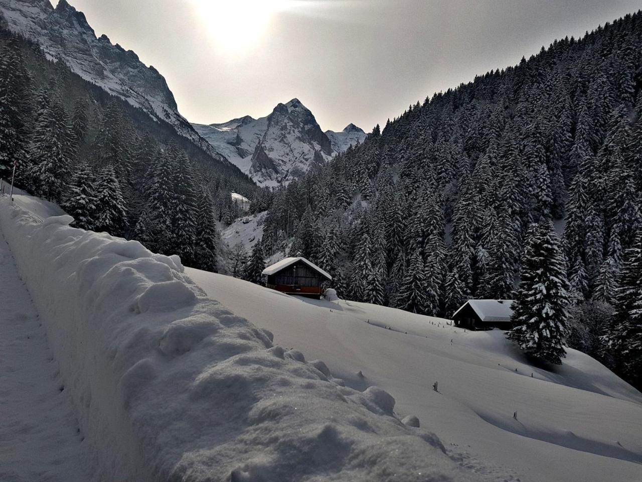 Alpenlodge Willigen ภายนอก รูปภาพ