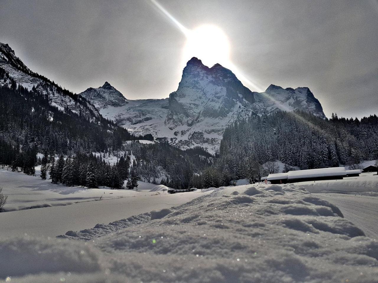 Alpenlodge Willigen ภายนอก รูปภาพ