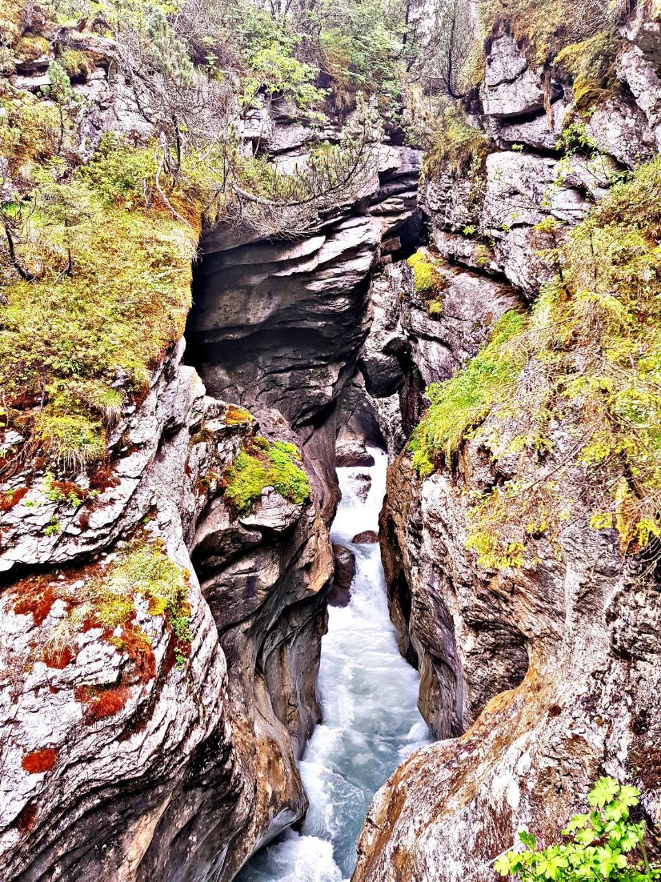 Alpenlodge Willigen ภายนอก รูปภาพ
