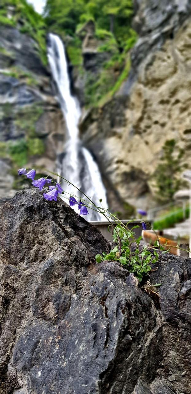 Alpenlodge Willigen ภายนอก รูปภาพ