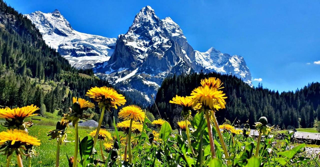 Alpenlodge Willigen ภายนอก รูปภาพ