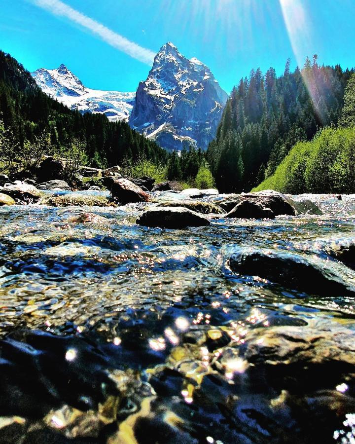Alpenlodge Willigen ภายนอก รูปภาพ